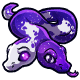 Bython : Neopets
