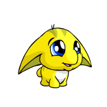 Baby Poogle : Neopets