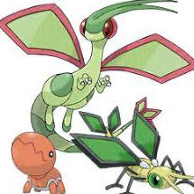 Flygon Line : Pokemon